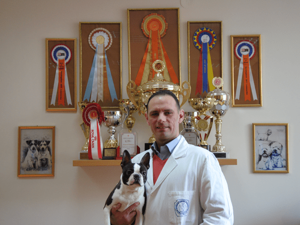Dr Nemanja Jovanovic med Bostonterrier framför utmärkelser